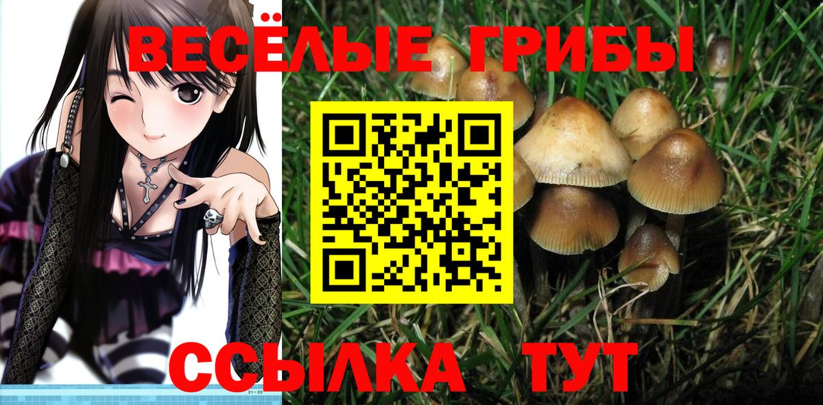 Галлюциногенные грибы мухоморы  Вход с VPN  Реж 